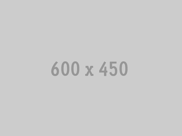 600x450